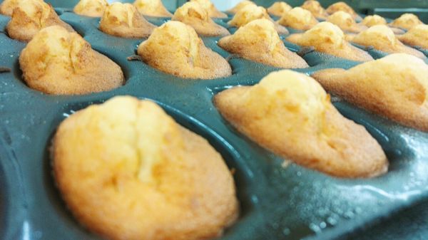 Les madeleines